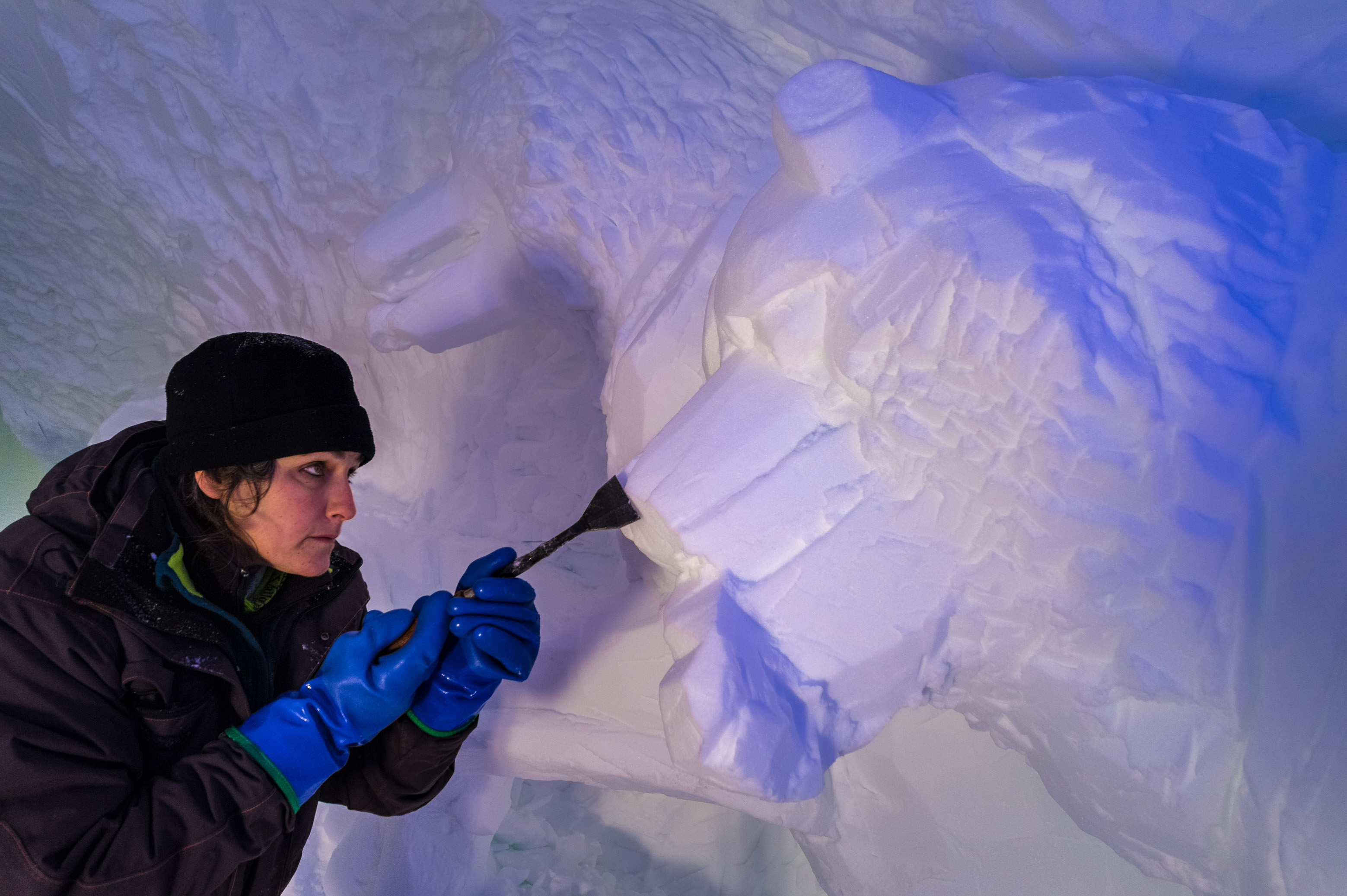 France, Auvergne-Rhône-Alpes, vallée de la Tarentaise, massif de la Vanoise, station de sports d'hiver Arcs 2000, Carina TORNATORIS sculpte un chien de traîneau dans la neige de la paroi du tunnel de la galerie de sculptures du village-igloo, lors de la saison hivernale 2017-2018 // France, Auvergne-Rhône-Alpes, Tarentaise valley, Vanoise massif, Arcs 2000 ski resort, Carina TORNATORIS sculpts a sled dog in the snow of the tunnel wall of the gallery with sculptures of igloo-village, during the winter season 2017-2018