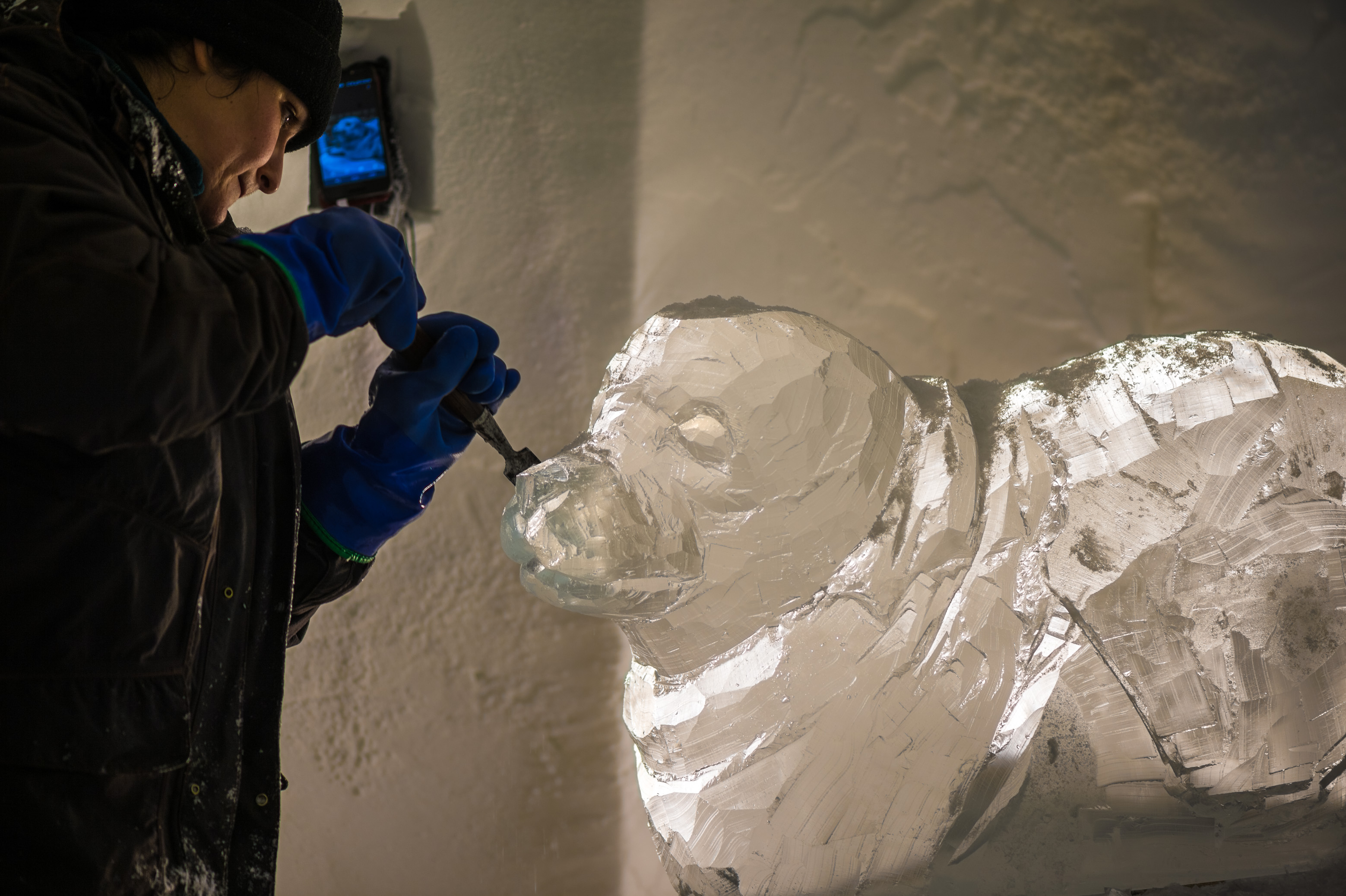 France, Auvergne-Rhône-Alpes, vallée de la Tarentaise, massif de la Vanoise, station de sports d'hiver Arcs 2000, Carina TORNATORIS sculpte un bébé phoque dans un bloc de glace, pour la galerie de sculptures du village-igloo, lors de la saison hivernale 2017-2018 // France, Auvergne-Rhône-Alpes, Tarentaise valley, Vanoise massif, Arcs 2000 ski resort, Carina TORNATORIS sculpts a baby seal in an ice block for the igloo village sculpture gallery, during the winter season 2017-2018