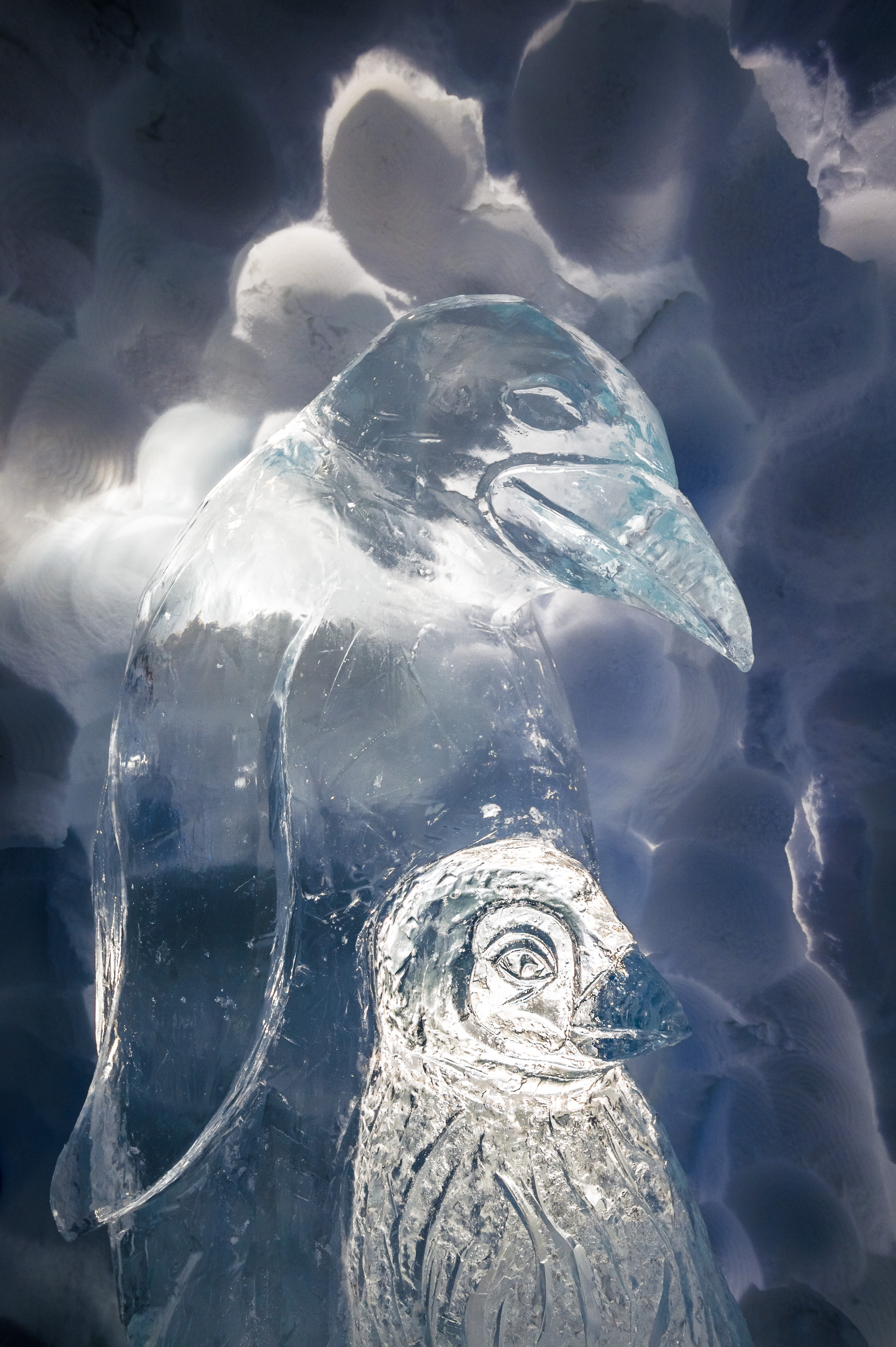 France, Auvergne-Rhône-Alpes, vallée de la Tarentaise, massif de la Vanoise, station de sports d'hiver Arcs 2000, manchot empereur et son petit taillés dans un bloc de glace, pour la galerie de sculptures du village-igloo, lors de la saison hivernale 2017-2018 // France, Auvergne-Rhône-Alpes, Tarentaise valley, Vanoise massif, Arcs 2000 ski resort, emperor penguin and its baby carved in a block of ice, for the sculpture gallery of the village-igloo, during the winter season 2017-2018