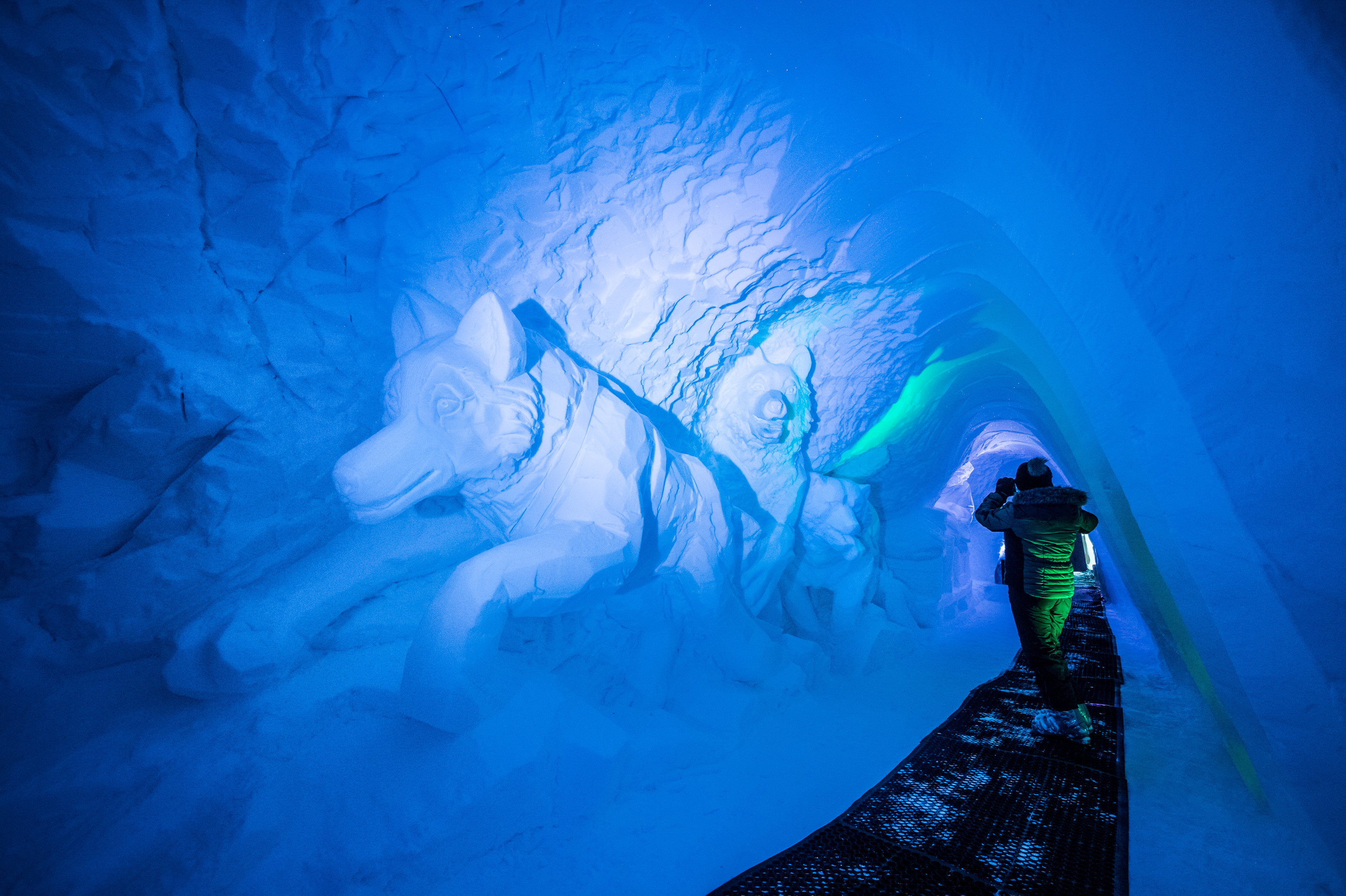 France, Auvergne-Rhône-Alpes, vallée de la Tarentaise, massif de la Vanoise, station de sports d'hiver Arcs 2000, l'explorateur polaire Nicolas VANIER et son traîneau à chiens dans la neige de la paroi du tunnel de la galerie de sculptures du village-igloo, lors de la saison hivernale 2017-2018 // France, Auvergne-Rhône-Alpes, Tarentaise valley, Vanoise massif, Arcs 2000 ski resort, polar explorer Nicolas VANIER and his dog sled in the snow of the tunnel wall of the gallery with sculptures of igloo-village, during the winter season 2017-2018