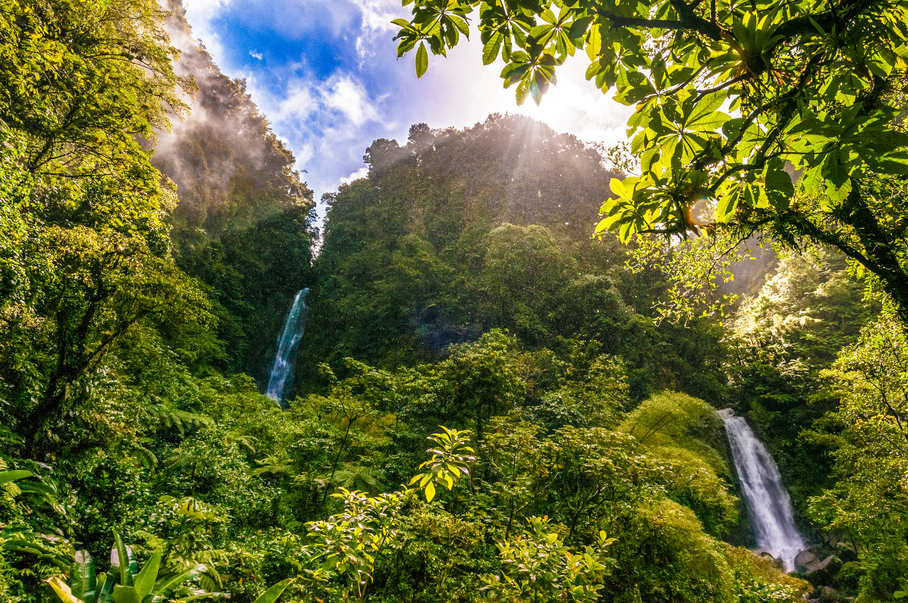 Amérique centrale, Caraïbes, Petites Antilles, île de La Dominique, Parc national du Morne Trois Pitons inscrit sur la Liste du patrimoine mondial par l'Unesco, les deux cascades de Trafalgar Falls au coeur de la forêt tropicale // Central America, Caribbean, Lesser Antilles, Dominica Island, Morne Trois Pitons National Park inscribed on the World Heritage List by Unesco, Trafalgar Falls in the heart of the rainforest