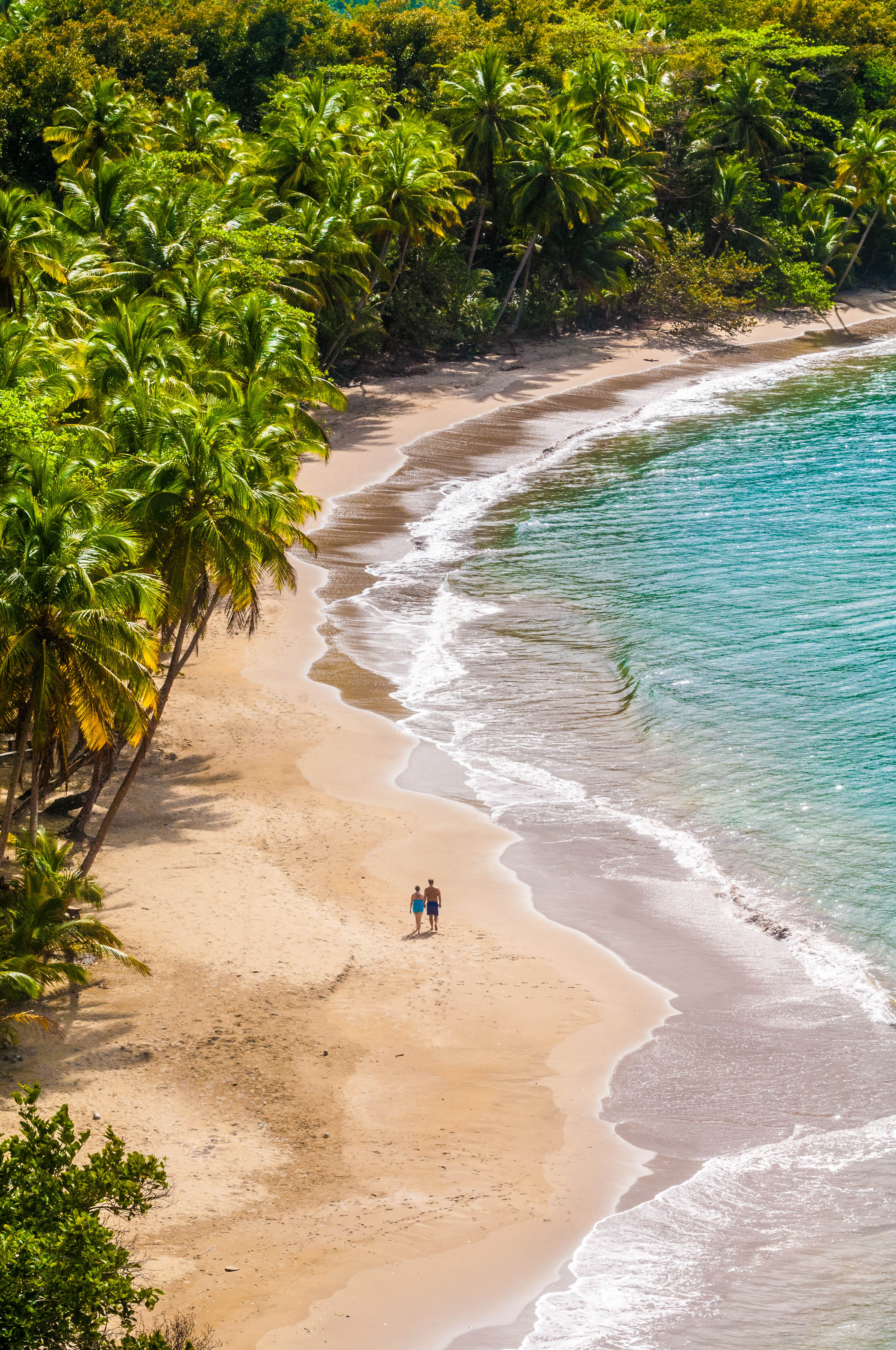 Amérique centrale, Caraïbes, Petites Antilles, île de La Dominique, Hampstead, vue aérienne de la plage de Batibou Bay, au Nord de l'île // Central America, Caribbean, Lesser Antilles, Dominica Island, Hampstead, Aerial view of Batibou Bay beach, North of the island