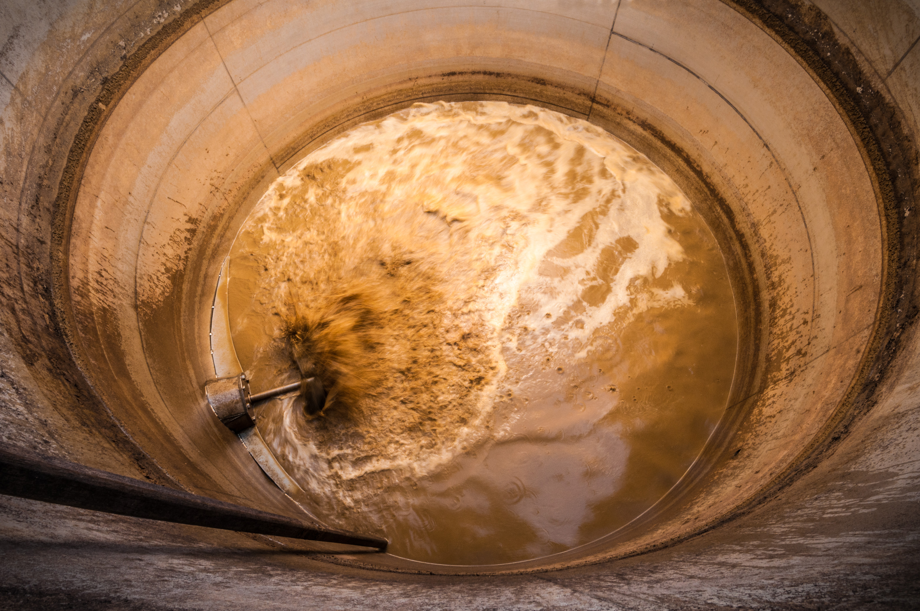 France, Caraïbes, Petites Antilles, Guadeloupe, Basse-Terre, Petit-Bourg, Distillerie de rhums agricoles Montebello, cuve de fermentation // France, Caribbean, Lesser Antilles, Guadeloupe, Basse-Terre, Petit-Bourg, Distillery of agricultural rums Montebello, fermentation tank