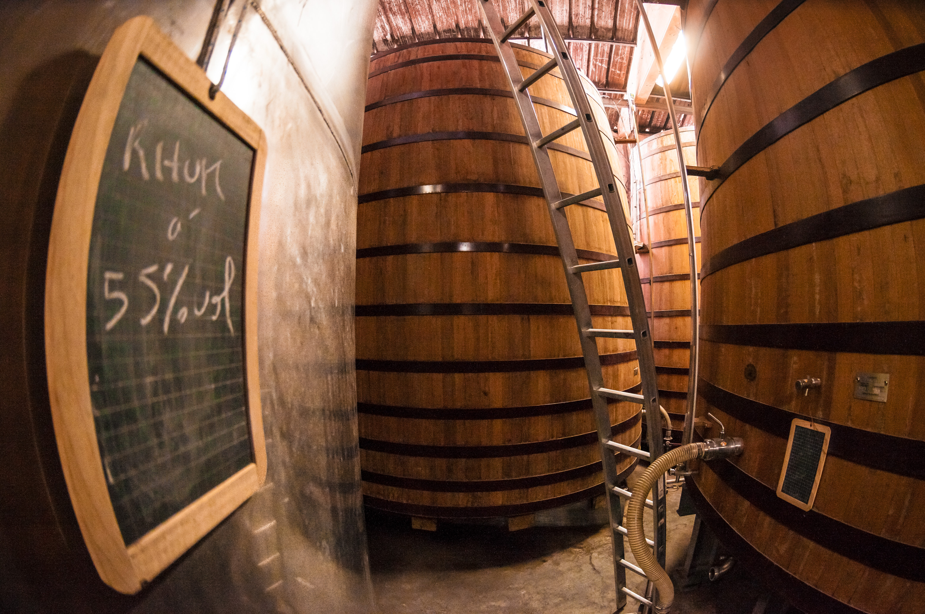 France, Caraïbes, Petites Antilles, Guadeloupe, Basse-Terre, Distillerie de rhums agricoles Bologne, Fûts de vieillissement // France, Caribbean, Lesser Antilles, Guadeloupe, Basse-Terre, Agricultural rum distillery Bologne, aging barrels