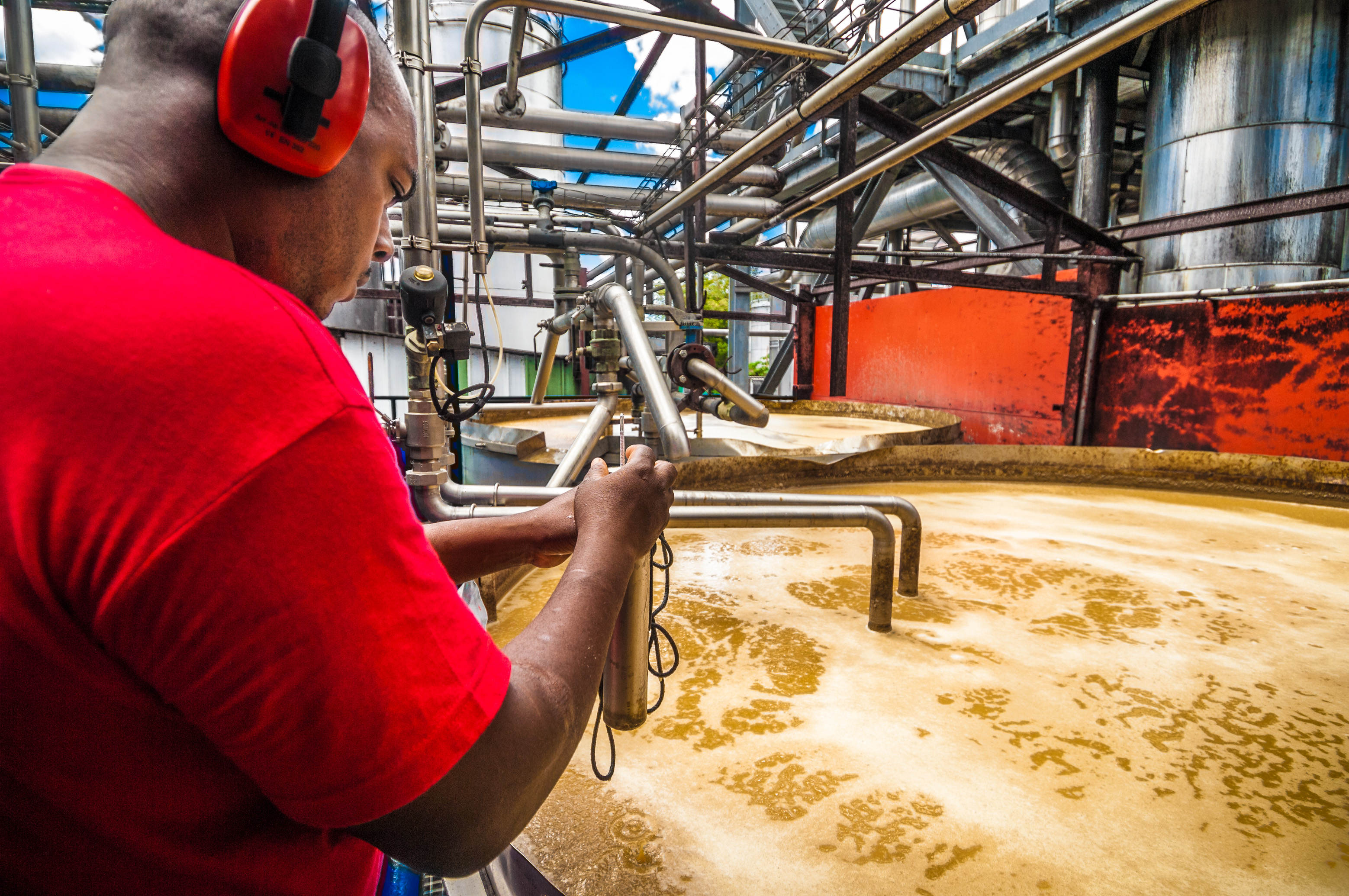 France, Caraïbes, Petites Antilles, Guadeloupe, Grande-Terre, Le Moule, A la distillerie de rhums agricoles Damoiseau, un technicien chimiste mesure la densité du jus en fermentation au-dessus d'une cuve en fin de fermentation // France, Caribbean, Lesser Antilles, Guadeloupe, Grande-Terre, Le Moule, At the distillery of agricultural rums Damoiseau, a chemist technician measures the density of the juice in fermentation over a fermentation tank