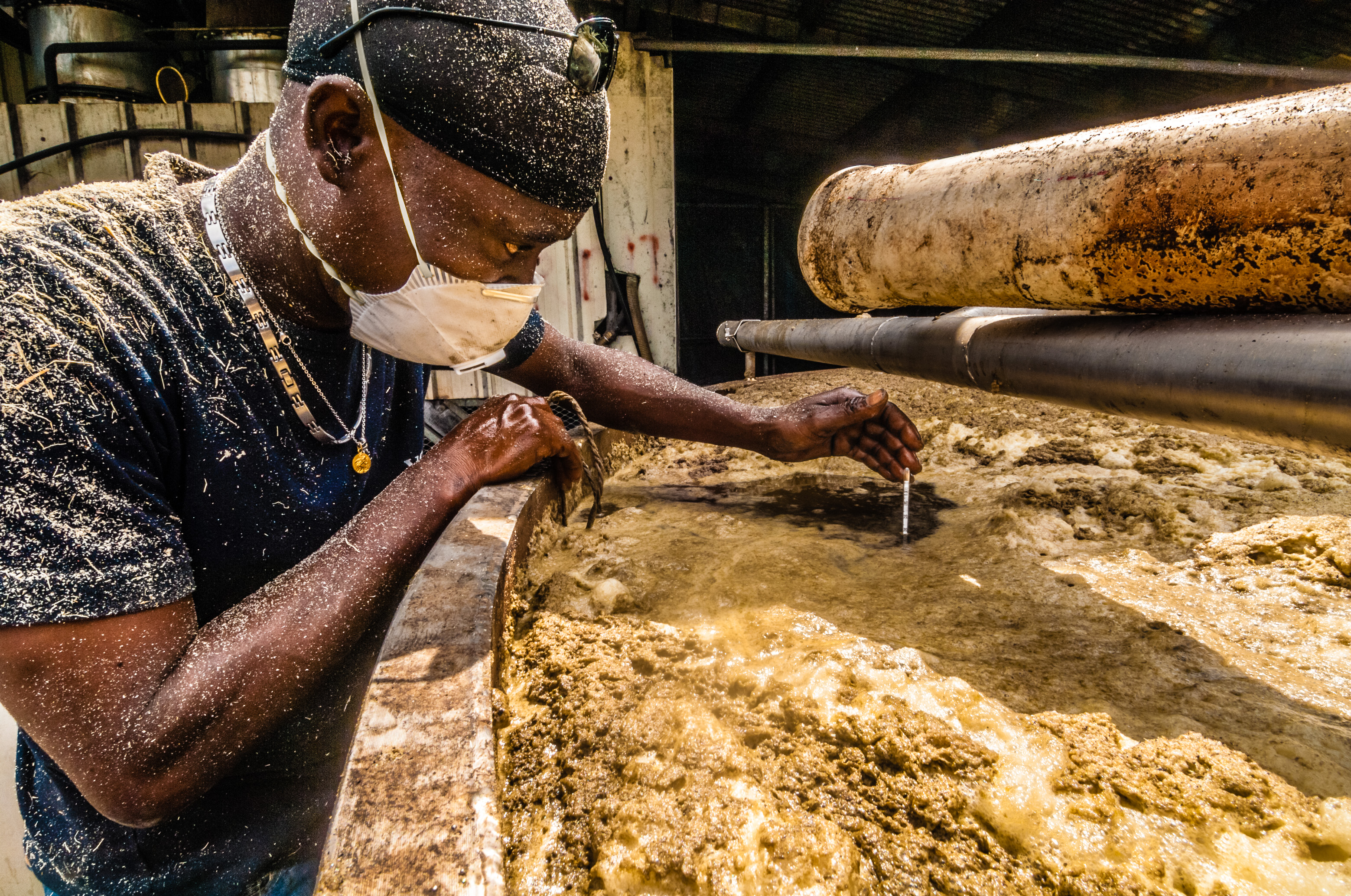 France, Caraïbes, Petites Antilles, Guadeloupe, Marie-Galante, Grand Bourg, Distillerie de rhums agricoles Bielle, ici le responsable fermentation et distillation contrôle l'avancement de la fermentation d'une cuve // France, Caribbean, Lesser Antilles, Guadeloupe, Marie-Galante, Grand Bourg, Distillery of agricultural rum Bielle, here the responsible fermentation and distillation controls the progress of the fermentation of a tank