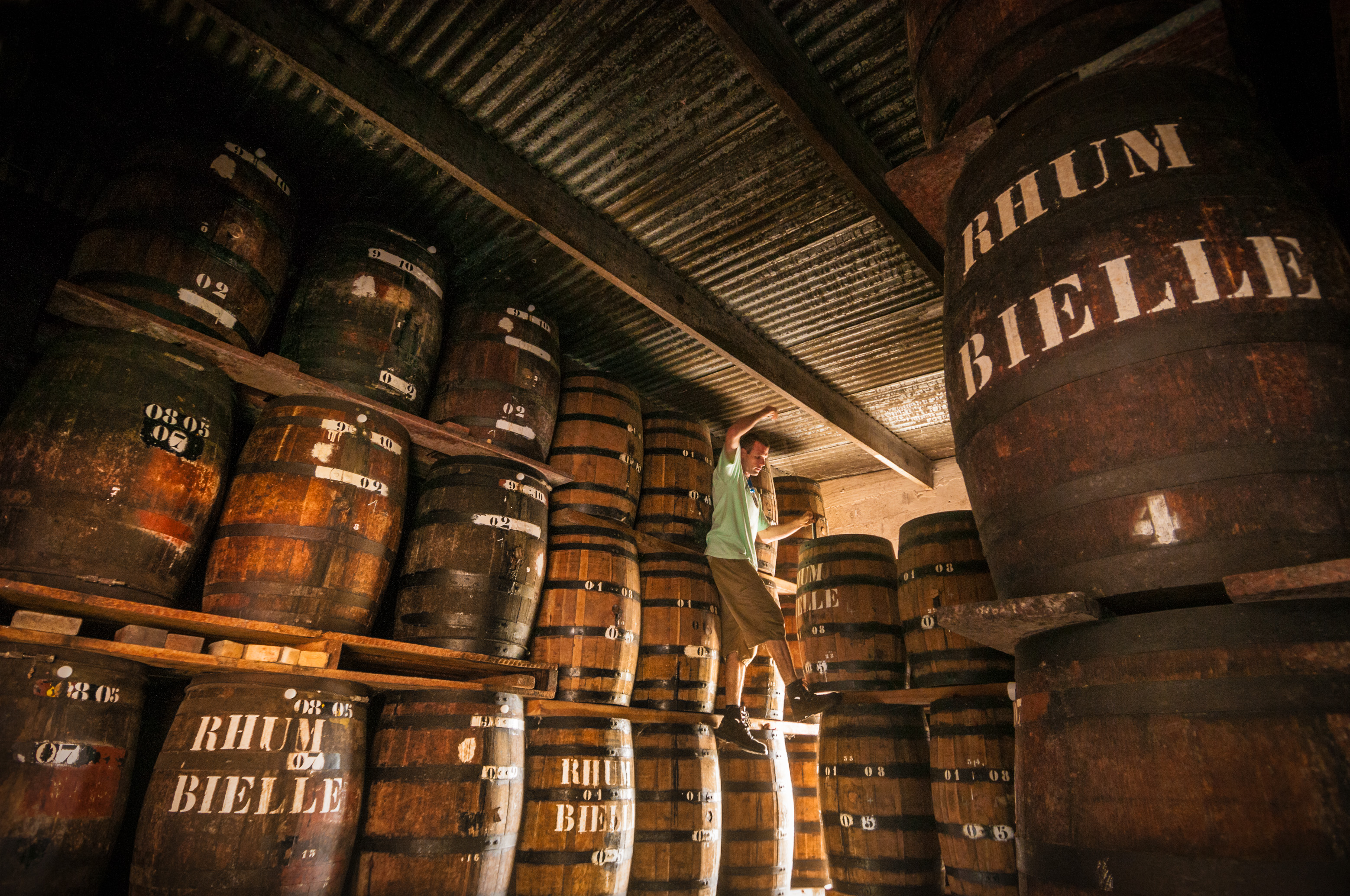 France, Caraïbes, Petites Antilles, Guadeloupe, Marie-Galante, Grand Bourg, Distillerie de rhums agricoles Bielle, le responsable d'exploitation Jérôme THIERY contrôle le vieillissement du rhum en fûts de chêne dans ses chais // France, Caribbean, Lesser Antilles, Guadeloupe, Marie-Galante, Grand Bourg, Distillery of agricultural rums Bielle, the manager of exploitation Jérôme THIERY controls the aging of rum in oak barrels in its cellars