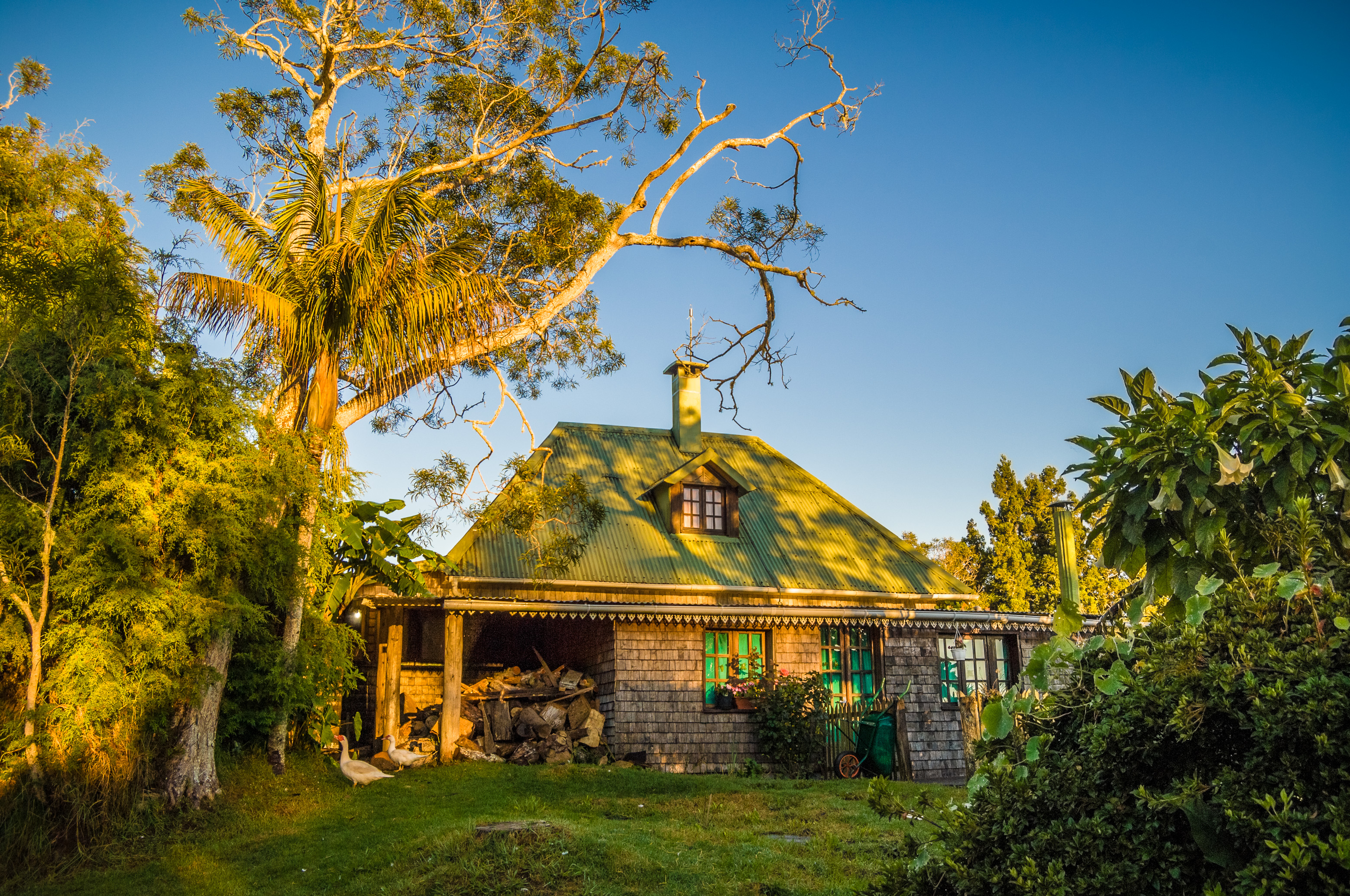 France, île de La Réunion, océan Indien, parc national, cirque de Salazie, gîte de Bélouve (1505 m) au lever du jour // France, Reunion Island, Indian Ocean, National Park, Salazie Circus, the Bélouve lodge (1505 m) at sunrise