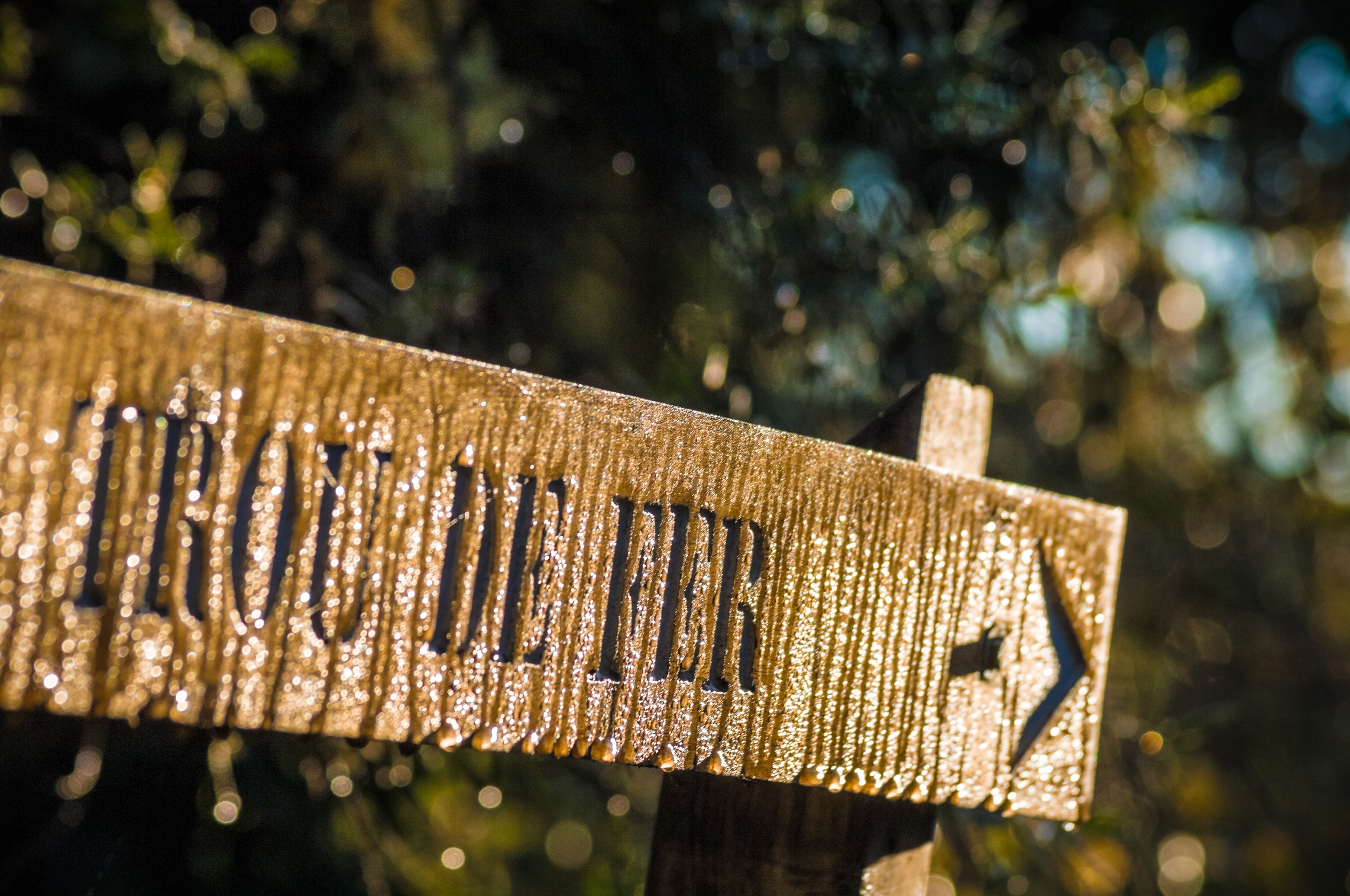 France, île de La Réunion, océan Indien, parc national, cirque de Salazie, panneau couvert de rosée sur le sentier du Trou de Fer dans la forêt de tamarins de Bélouve // France, Reunion Island, Indian Ocean, National Park, Salazie's natural circus, dew-covered sign on the Trou de Fer trail in the Tamarind forest of Bélouve