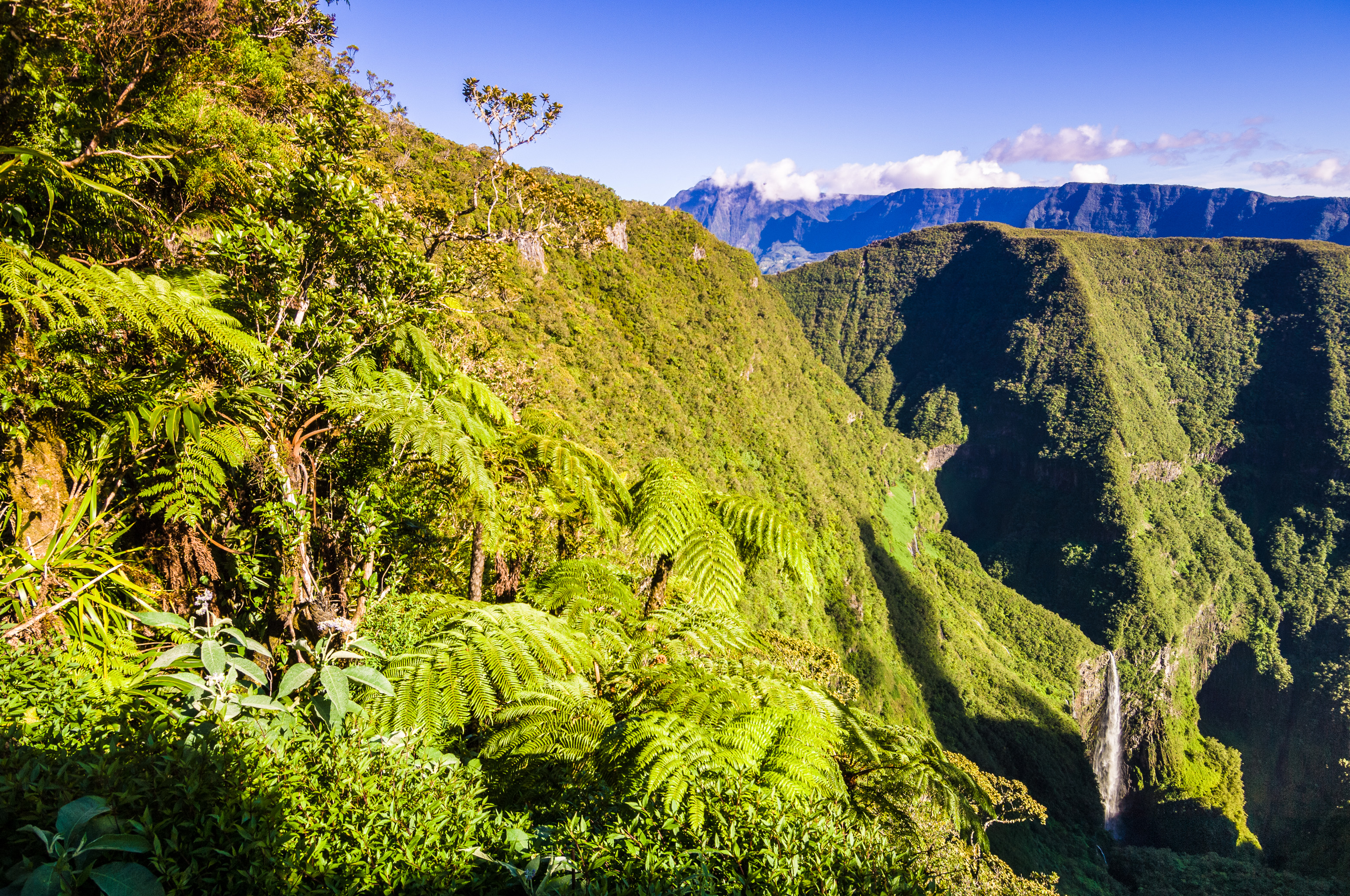 France, île de La Réunion, océan Indien, parc national, cirque de Salazie, panorama sur le Trou de Fer depuis la forêt de tamarins de Bélouve, le Trou de Fer est une dépression géologique du massif du Piton des Neiges située au Nord-Est de l'île // France, Reunion Island, Indian Ocean, National Park, Salazie's natural circus, panorama of the Trou de Fer from the Tamarind forest of Bélouve, the Trou de Fer is a geological depression of the Piton des Neiges massif in the northeast from the island