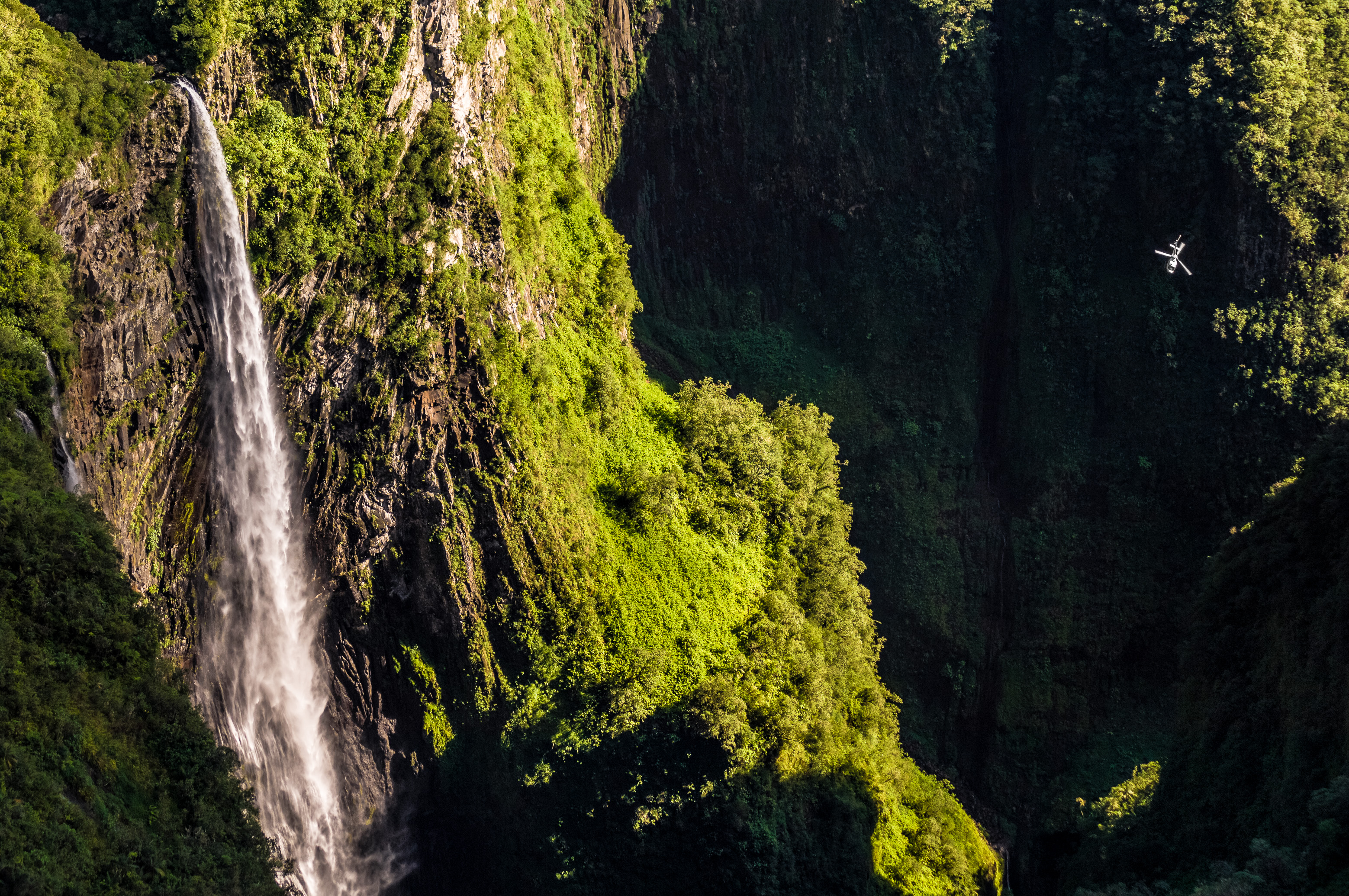 France, île de La Réunion, océan Indien, parc national, cirque de Salazie, cascade du Trou de Fer vue depuis le promontoire de la forêt de Bélouve sur le sentier de randonnée partant du village de Salazie, le Trou de Fer est une dépression géologique du massif du Piton des Neiges située au Nord-Est de l'île // France, Reunion Island, Indian Ocean, National Park, Salazie's natural circus, Trou de Fer cascade seen from the promontory of the forest of Bélouve on the hiking trail starting from the village of Salazie, the Trou de Fer is a geological depression of the Piton des Neiges massif located in the North-East of the island