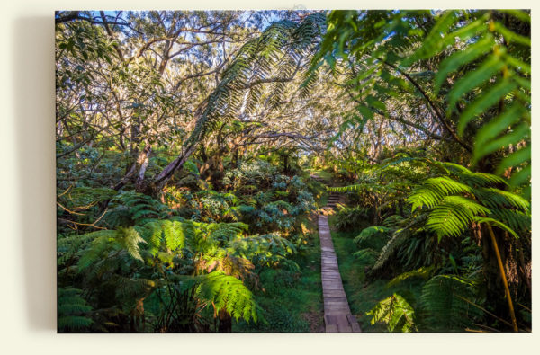 Sur le sentier (La Réunion)